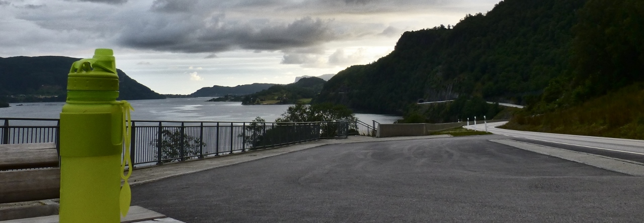 Arnarsonmila utsikt dalsfjorden